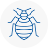 Bed Bug Extermination In Chertsey